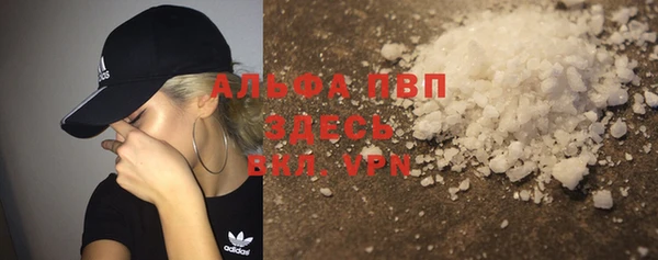 ГАЛЛЮЦИНОГЕННЫЕ ГРИБЫ Дмитриев