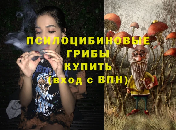 ГАЛЛЮЦИНОГЕННЫЕ ГРИБЫ Дмитриев