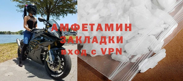 ГАЛЛЮЦИНОГЕННЫЕ ГРИБЫ Дмитриев