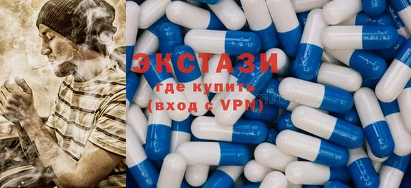 тгк Дмитровск