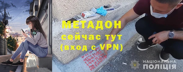 ГАЛЛЮЦИНОГЕННЫЕ ГРИБЫ Дмитриев