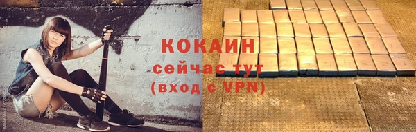 тгк Дмитровск