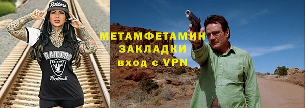 ГАЛЛЮЦИНОГЕННЫЕ ГРИБЫ Дмитриев