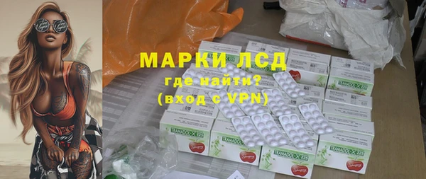 ГАЛЛЮЦИНОГЕННЫЕ ГРИБЫ Дмитриев