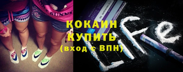 ГАЛЛЮЦИНОГЕННЫЕ ГРИБЫ Дмитриев