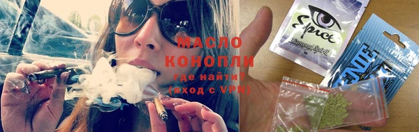 ГАЛЛЮЦИНОГЕННЫЕ ГРИБЫ Дмитриев