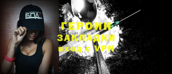 ГАЛЛЮЦИНОГЕННЫЕ ГРИБЫ Дмитриев